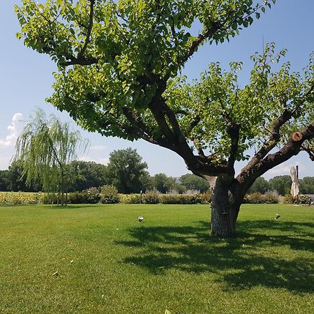 Agriturismo Villa Al Piano Тоди Екстериор снимка