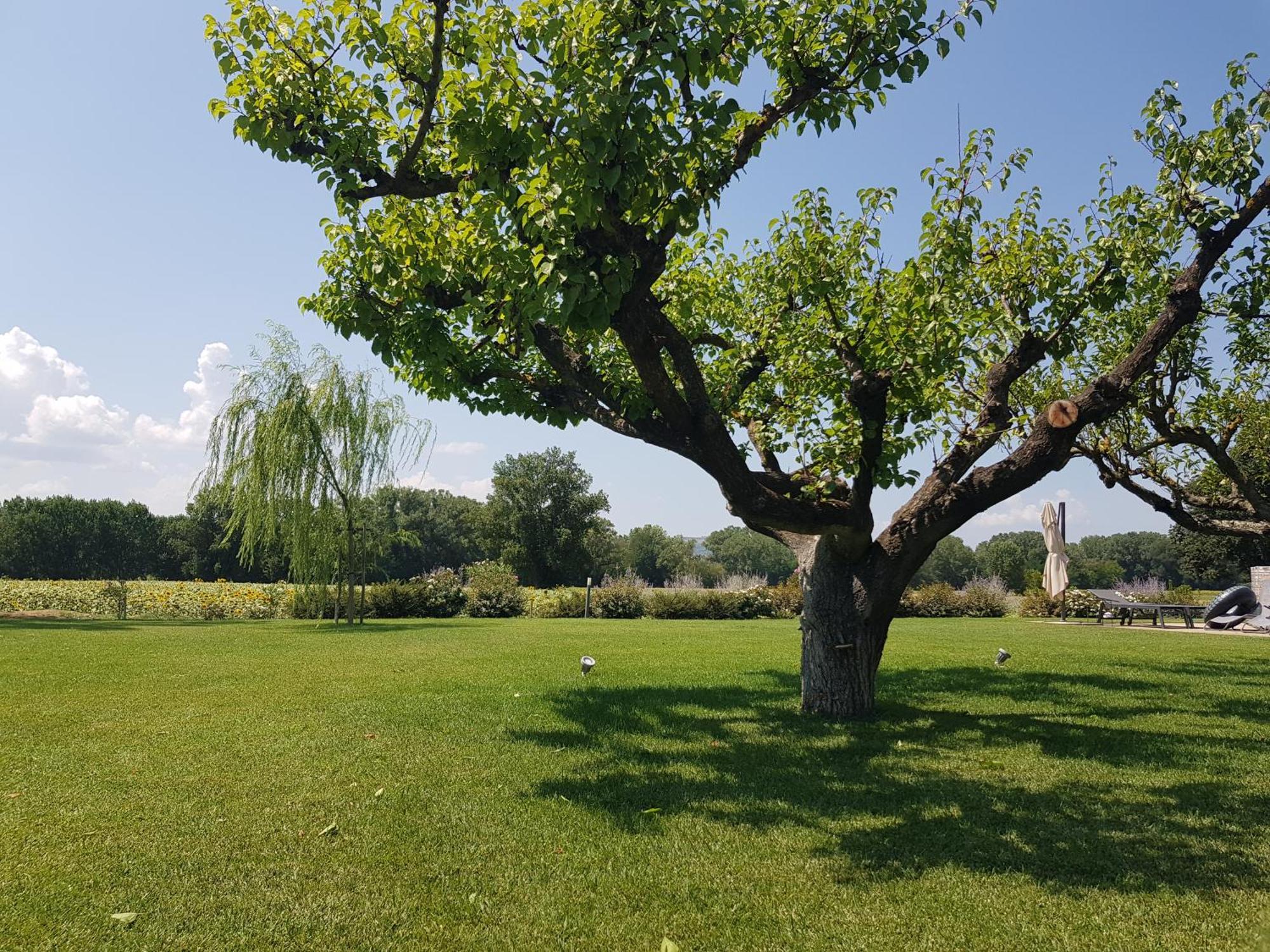 Agriturismo Villa Al Piano Тоди Екстериор снимка