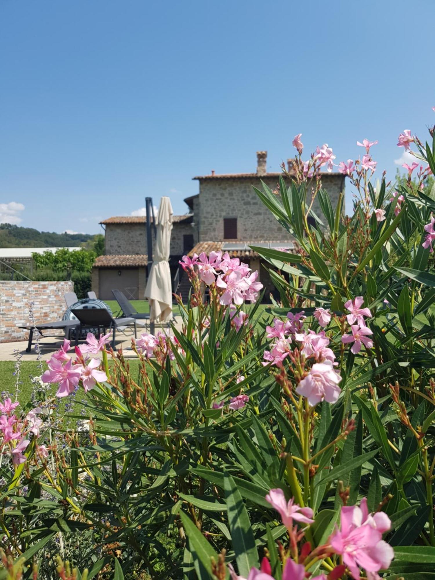 Agriturismo Villa Al Piano Тоди Екстериор снимка