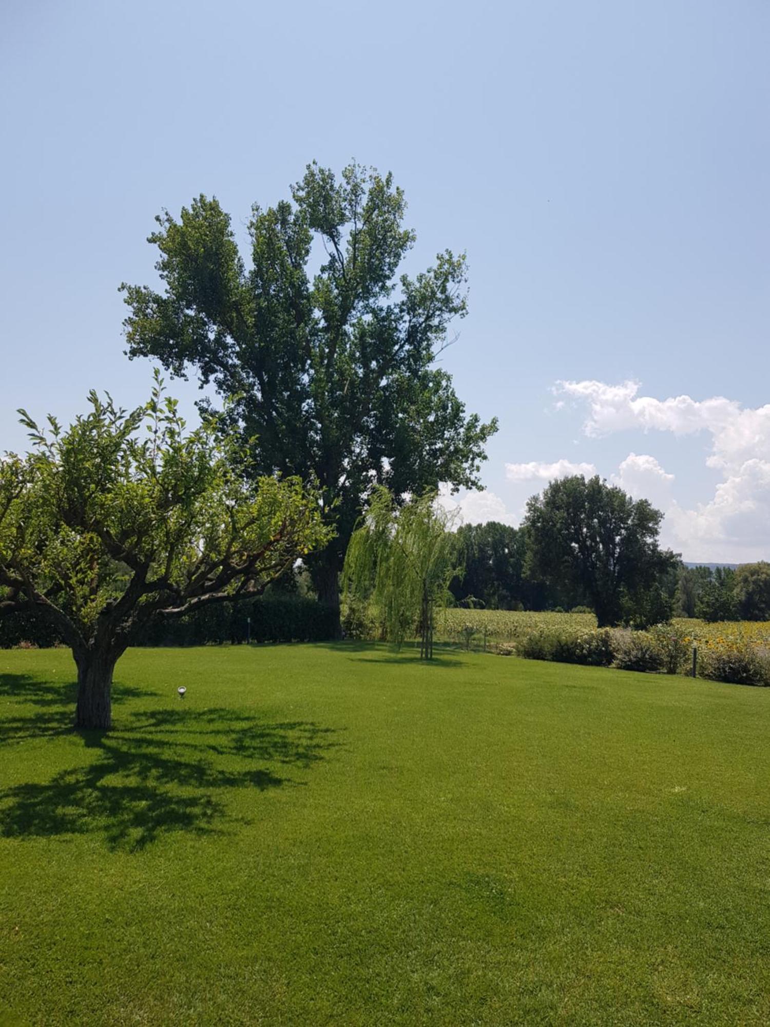 Agriturismo Villa Al Piano Тоди Екстериор снимка